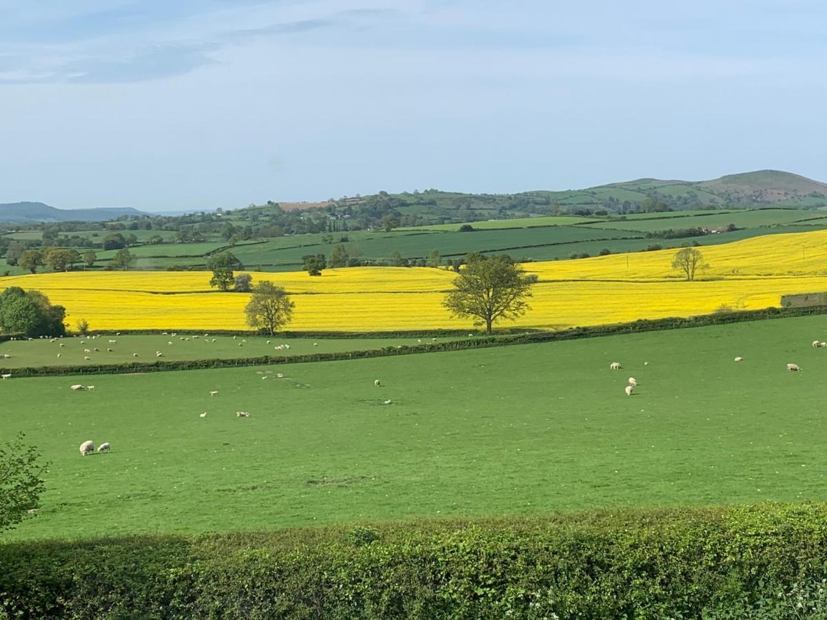 Upper Home Farm Plaish 外观 照片